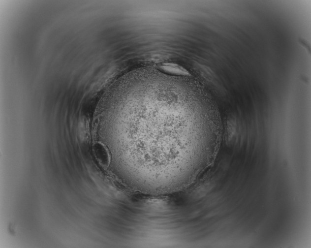 X0000103430236200809191708