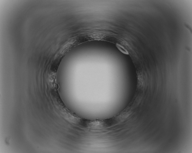 X0000103430237200809191708