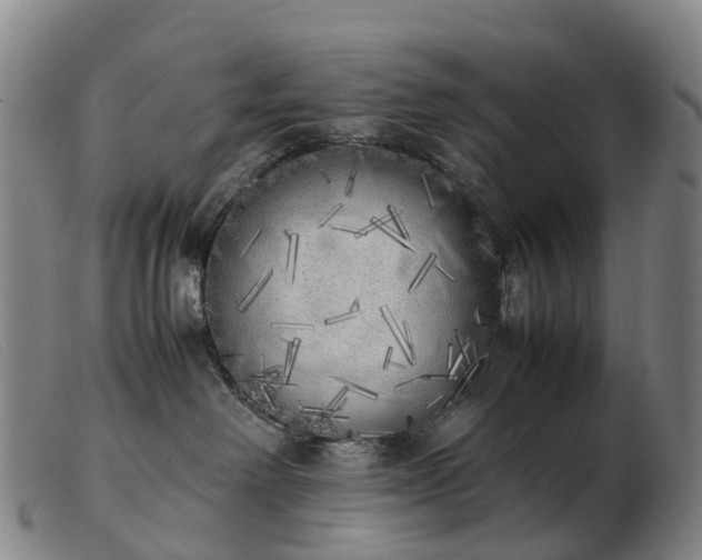X0000103430238200809191708