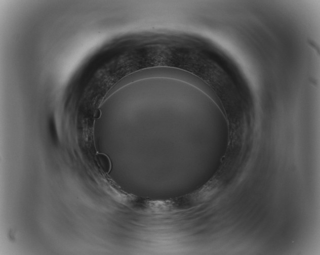 X0000103430239200809191708