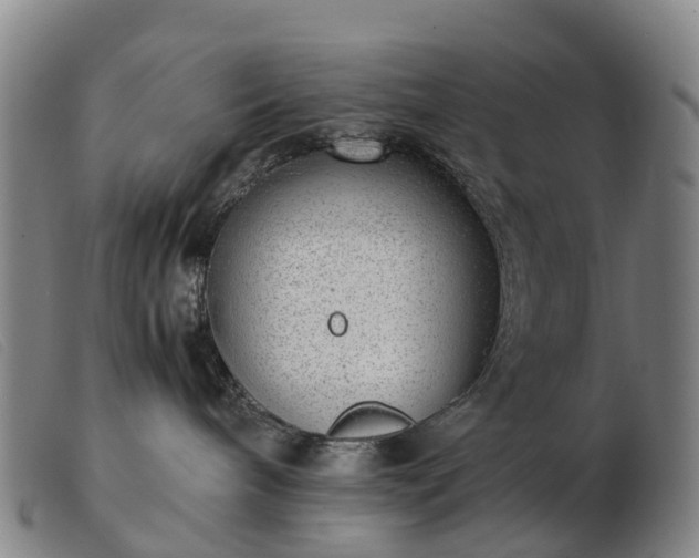 X0000103430240200809191708