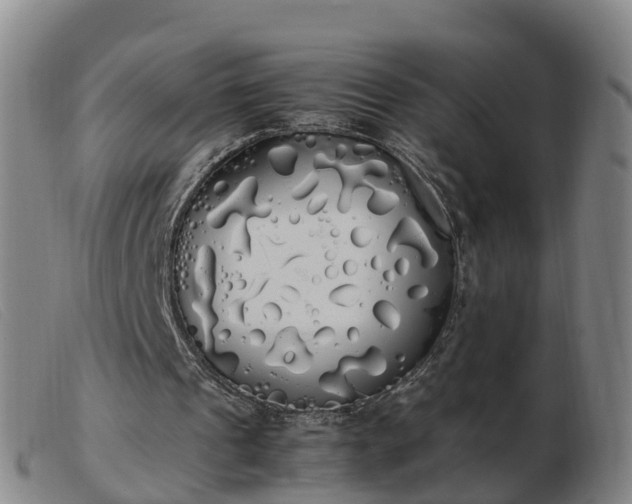 X0000103430241200809191707