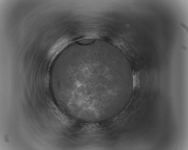 X0000103430243200809191707
