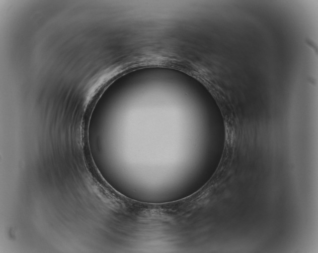 X0000103430244200809191707