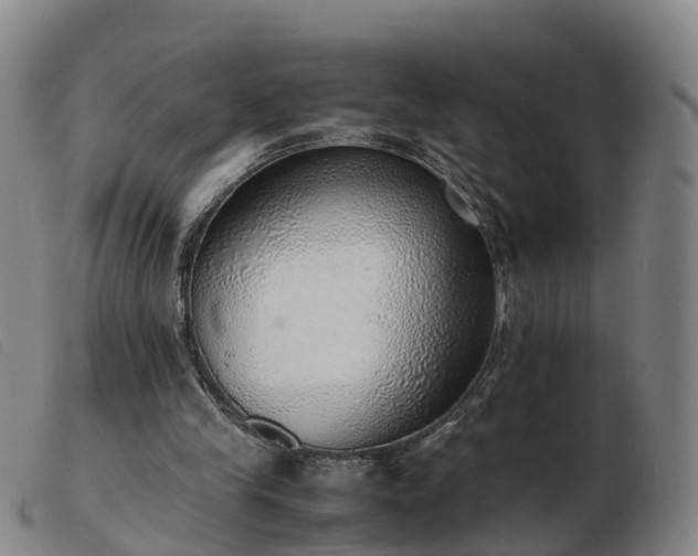 X0000103430245200809191707