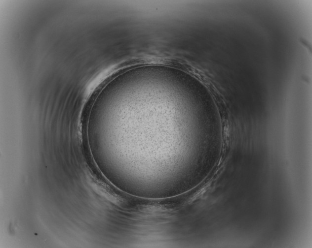 X0000103430246200809191707