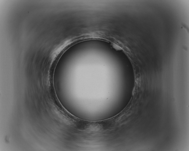 X0000103430248200809191707