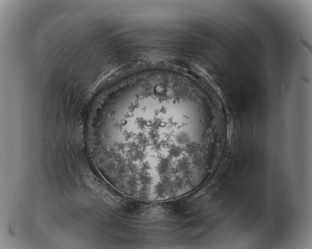 X0000103430249200809191707