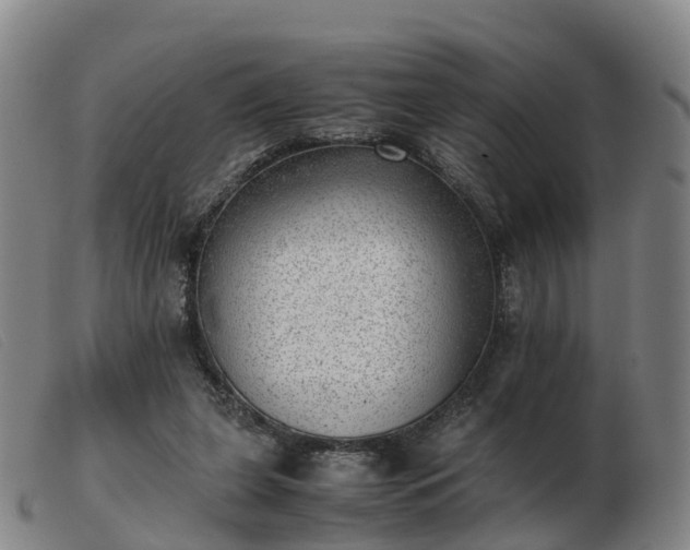 X0000103430255200809191707