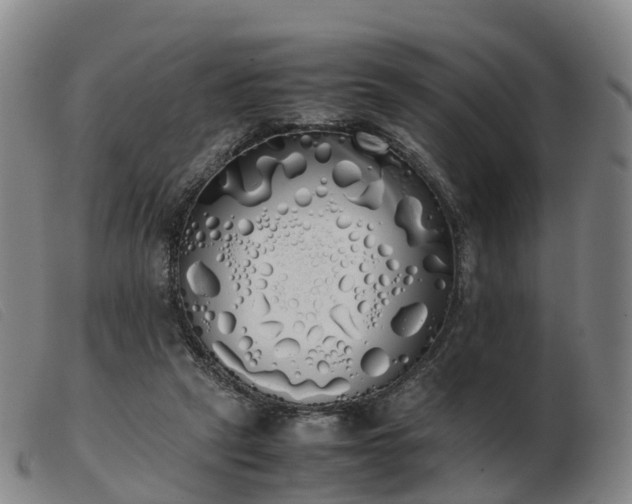 X0000103430257200809191707