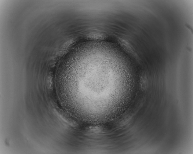 X0000103430259200809191707