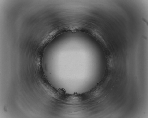 X0000103430260200809191707