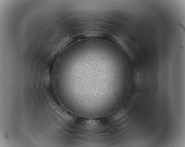 X0000103430261200809191707