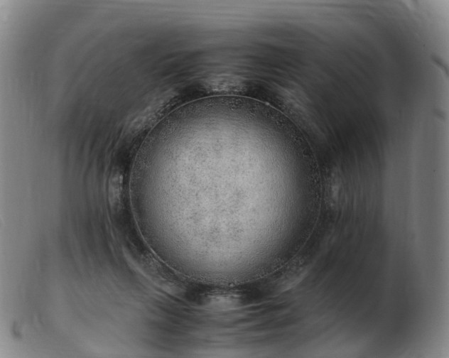 X0000103430263200809191707