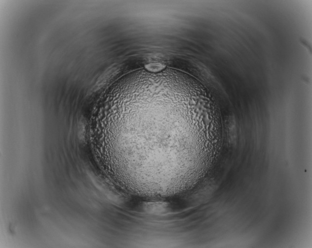 X0000103430266200809191707