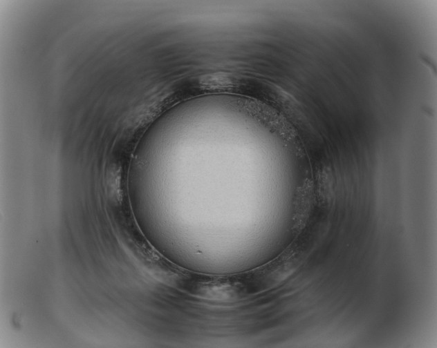 X0000103430267200809191708