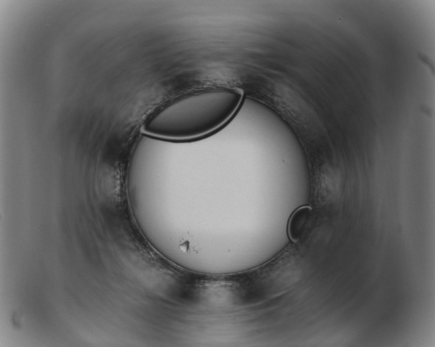 X0000103430268200809191708