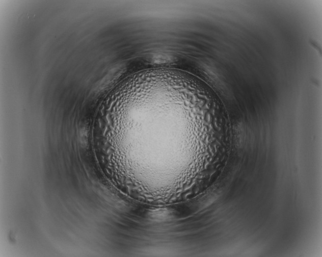 X0000103430269200809191708