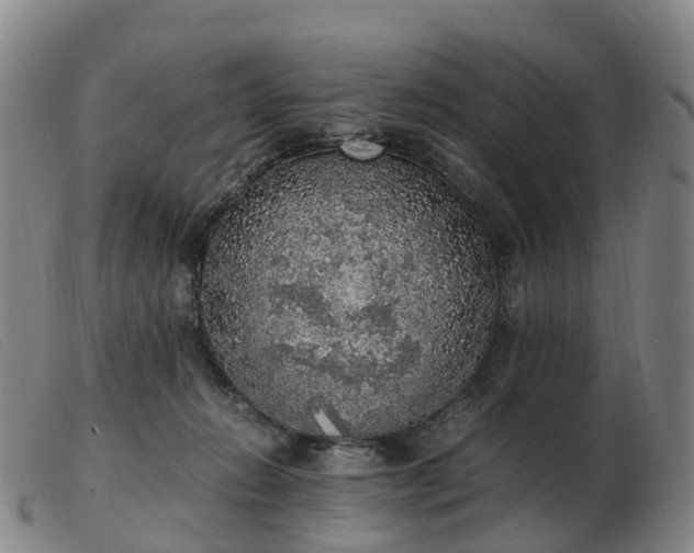 X0000103430270200809191708