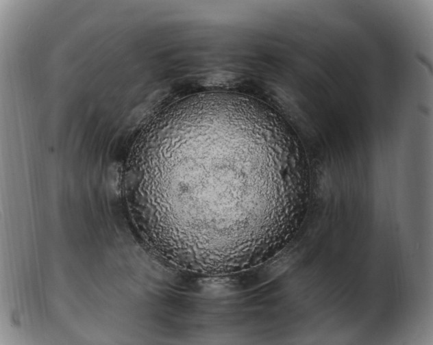X0000103430273200809191708