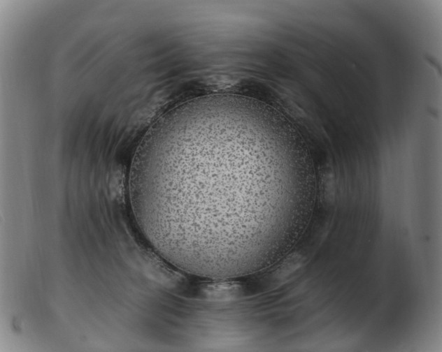 X0000103430274200809191708