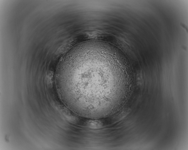 X0000103430275200809191708