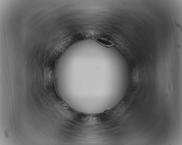 X0000103430276200809191708