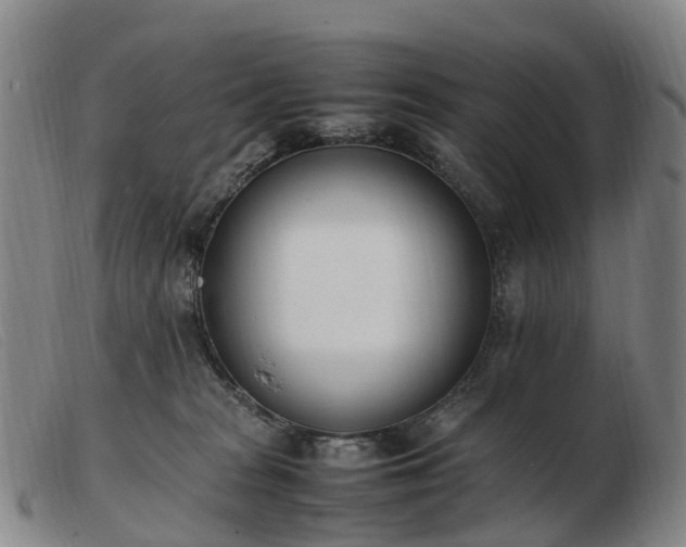 X0000103430277200809191708