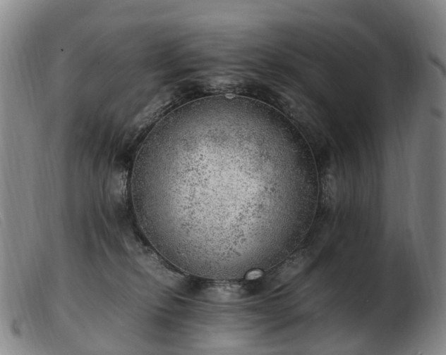 X0000103430278200809191708