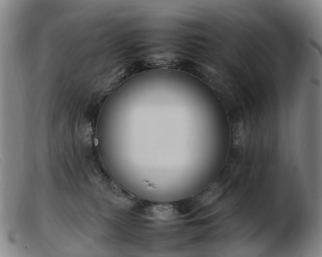 X0000103430279200809191708