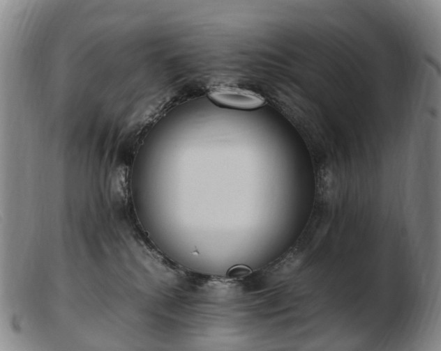 X0000103430280200809191708