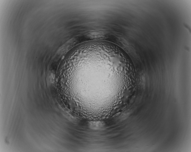 X0000103430281200809191708