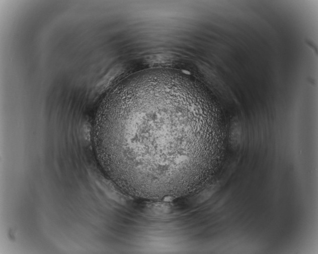 X0000103430282200809191708