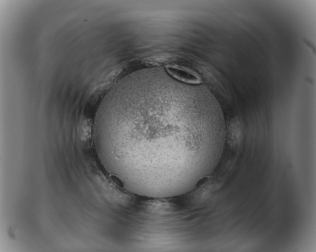 X0000103430284200809191708