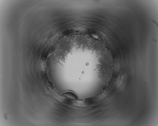 X0000103430285200809191708