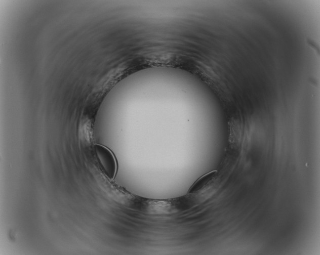 X0000103430287200809191708