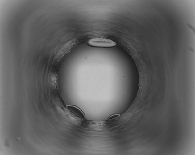 X0000103430288200809191708