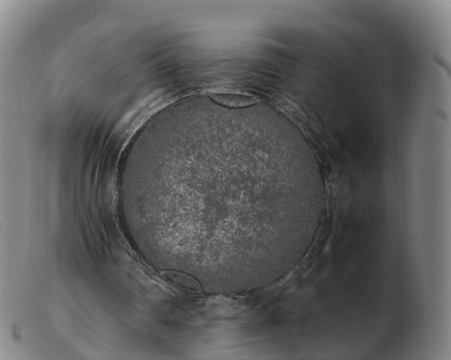 X0000103430290200809191707