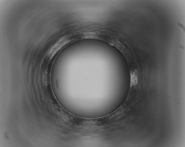 X0000103430291200809191707