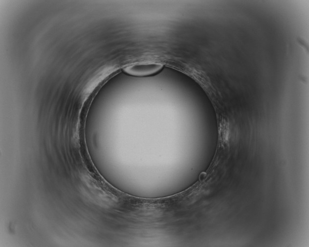 X0000103430292200809191707