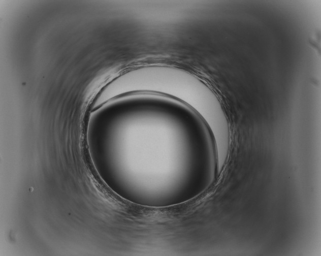 X0000103430293200809191707