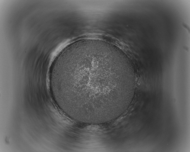 X0000103430294200809191707