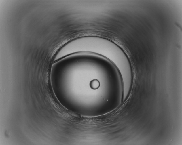 X0000103430297200809191707