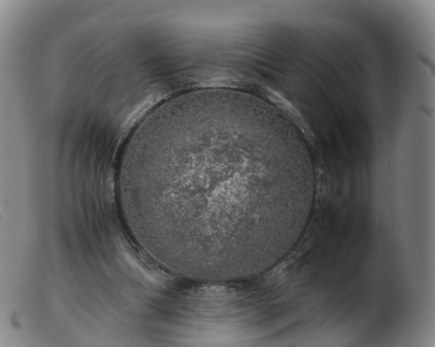 X0000103430298200809191707