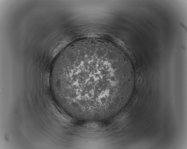 X0000103430299200809191707