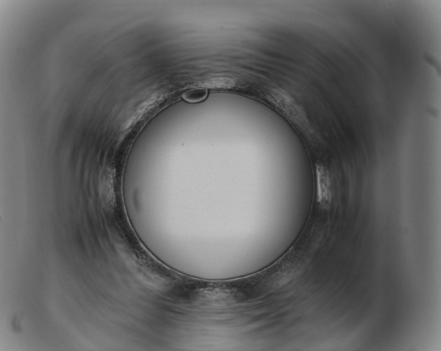 X0000103430300200809191707