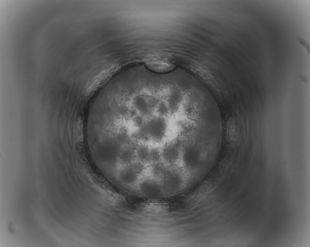 X0000103430303200809191707