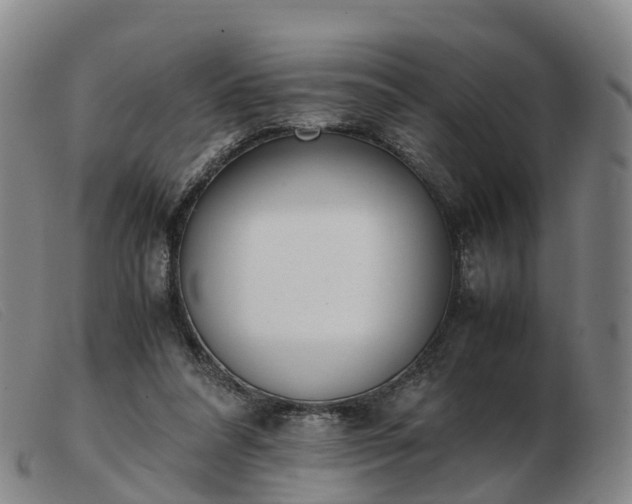 X0000103430304200809191707