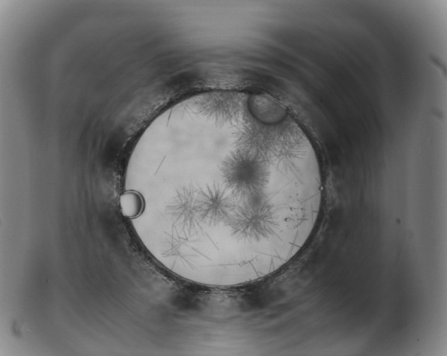X0000103430305200809191707