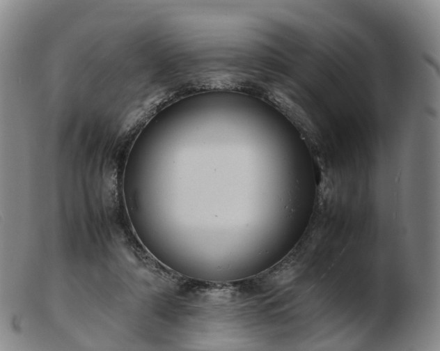X0000103430306200809191707